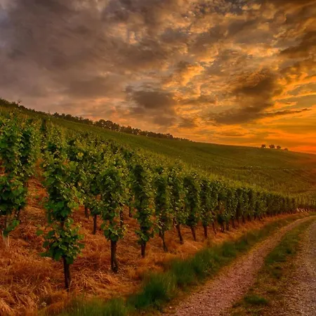 Apartment Ferienwohnung Klosterberg Lehmen