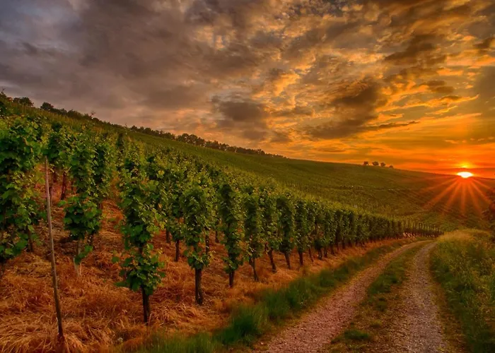 Apartament Ferienwohnung Klosterberg Lehmen